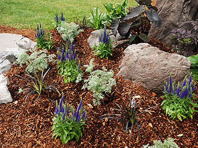Mulch