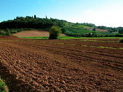 Soil