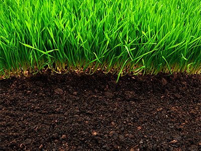 Soil